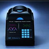 PCR擴(kuò)增儀(PCR基因擴(kuò)增儀)