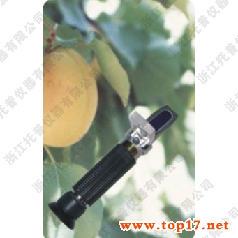 糖度計(jì) WZ101