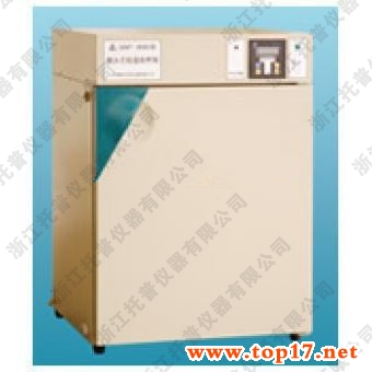 電熱恒溫培養(yǎng)箱 DNP-9052