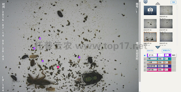 昆蟲識別系統(tǒng)