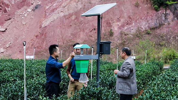 托普云農(nóng)出品的茶園殺蟲燈