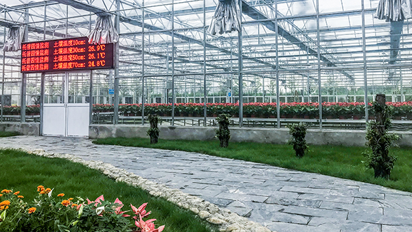 托普云農(nóng)全自動(dòng)托管式溫室大棚正式落成