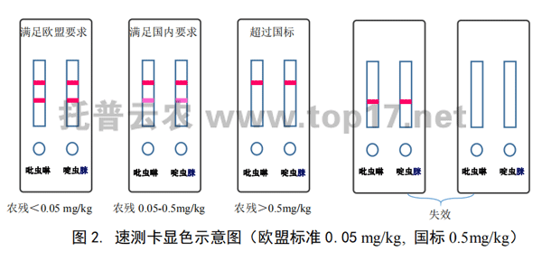 茶葉農(nóng)殘速測卡顯色示意圖