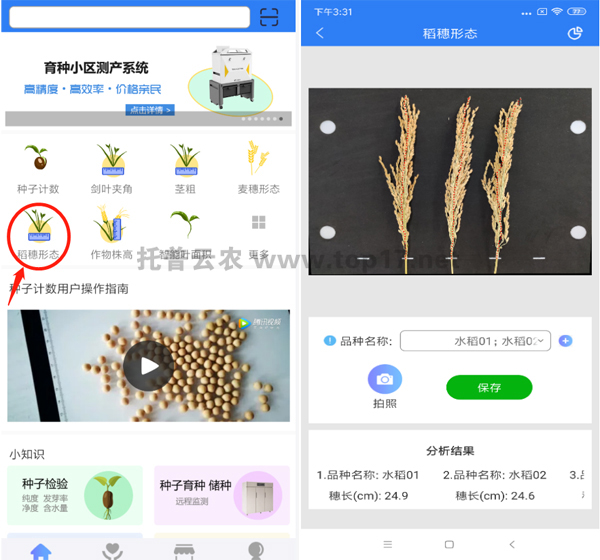 稻穗形態(tài)測(cè)量?jī)x