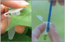 �z�y(c��)�D(zhu��n)�����ԇ���l