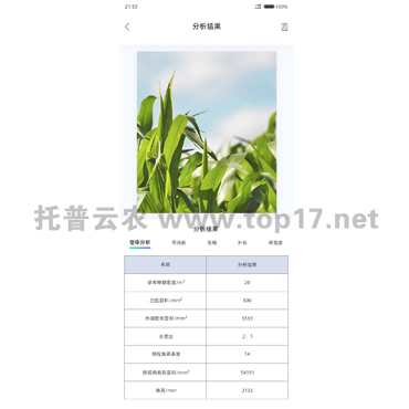 玉米株型分析系統(tǒng)軟件界面