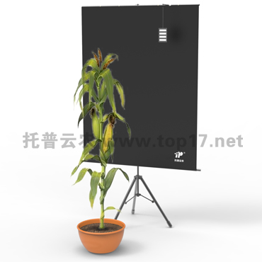 玉米株型分析系統(tǒng) TPMT-X-1