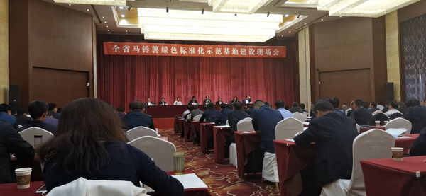 甘肅省全省馬鈴薯綠色標(biāo)準(zhǔn)化示范基地建設(shè)現(xiàn)場(chǎng)會(huì)在定西市安定區(qū)召開