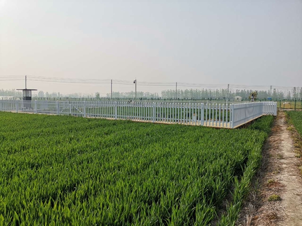 r(nng)cKֲֲzվwr(nng)ĺf(xi)h