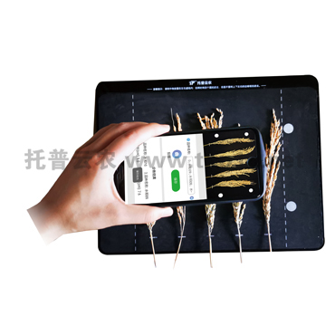 稻穗形態(tài)測(cè)量?jī)x