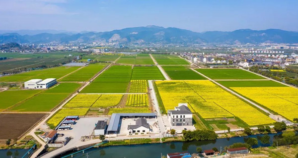 ?jn)?sh)ִr(nng)C(j)ҕNֲϢܻ