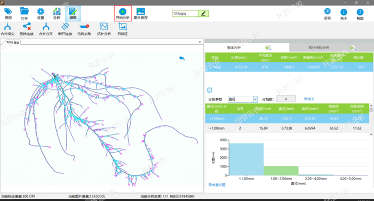 根系分析儀軟件分析界面