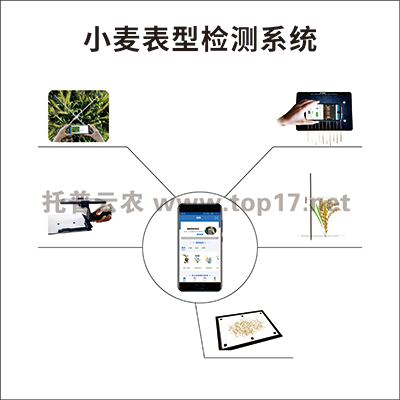 小麥表型檢測系統(tǒng) TPM-BX-1
