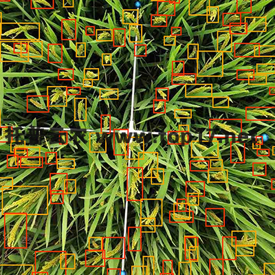 水稻畝穗數(shù)測量儀