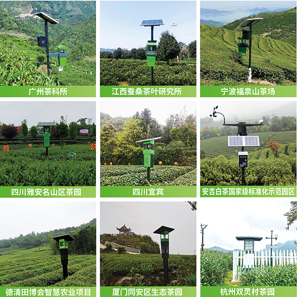 托普云農(nóng)茶園綠色防控技術(shù)應(yīng)用案例