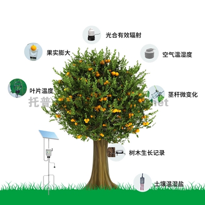 植物生理生態(tài)監(jiān)測(cè)系統(tǒng)
