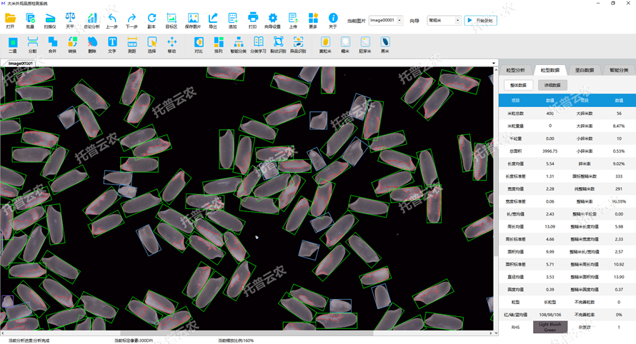 粒型整體數(shù)據(jù)