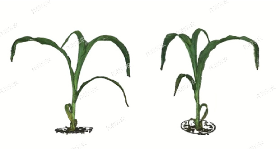 澳ģMֲL(zhng)O(jin)y(c)ƽ_(ti)-3S