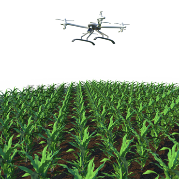 田間無人機(jī)式高通量植物表型采集分析平臺(tái) TP-GTL-AIR