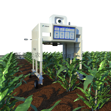 無人車式高通量表型采集分析平臺(tái)(橫跨式) TP-GTL-ARD