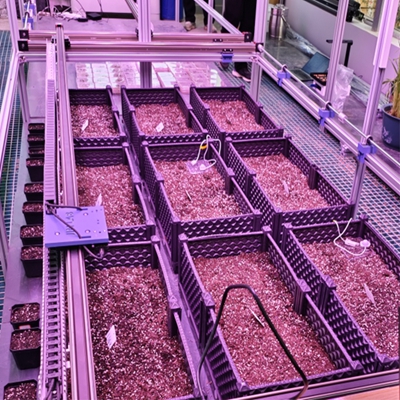 人工氣候室植物表型監(jiān)測系統(tǒng) TPN-PlantPhy